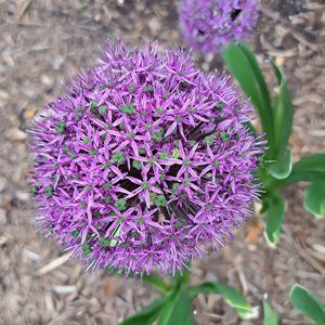 Branded preloved items (some NWT) handled and stored with care.